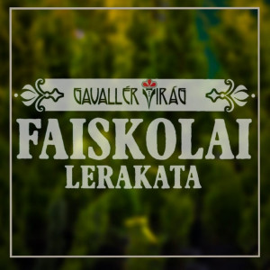 GAVALLÉR VIRÁG Faiskolai Lerakata